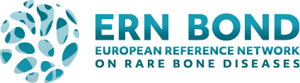ERN BOND Logo